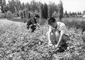 ֧������̻����̣����ذ��������ׯ����������