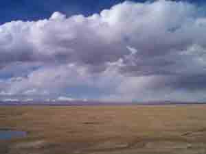 �ɿ�������